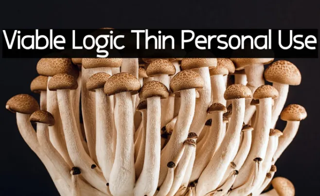 Viable Logic Thin Personal Use Example 3