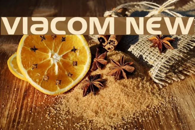 Viacom New Example 1