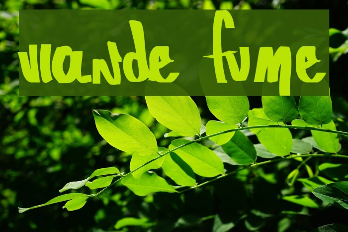 Viande Fumée Example 1