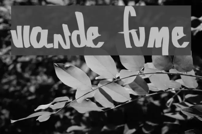 Viande Fumée Font examples