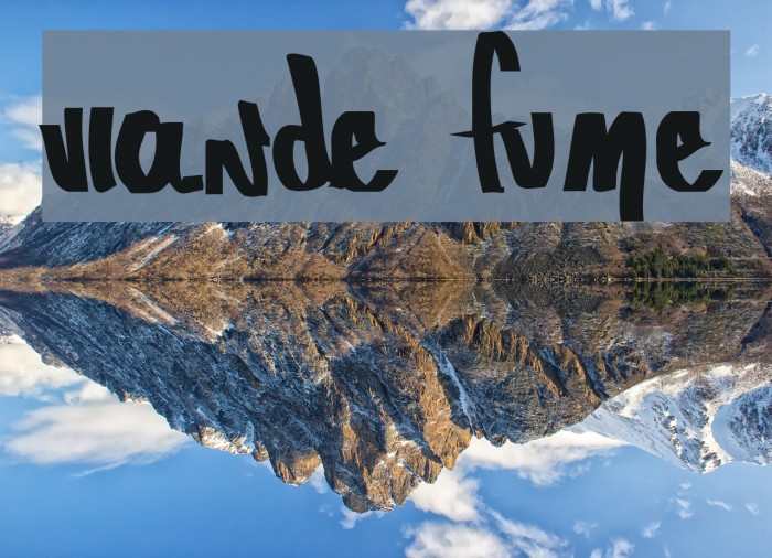 Viande Fumée Example 3