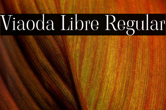 Viaoda Libre Regular Font examples