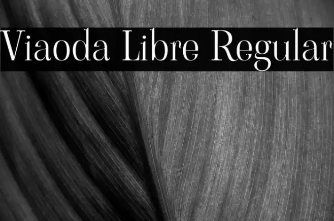 Viaoda Libre Regular Font examples