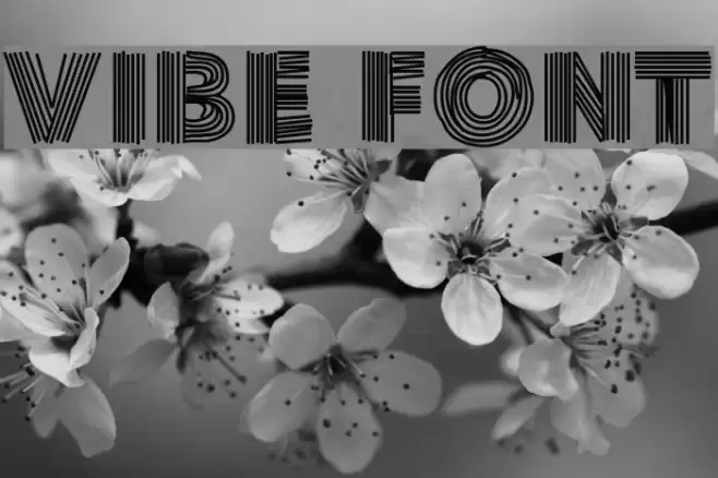 Vibe Font examples