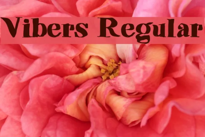Vibers Regular Example 2