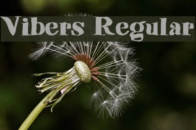 Vibers Regular Example 3