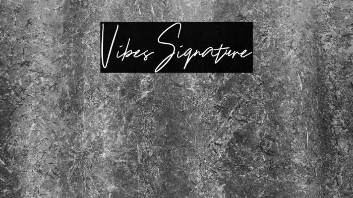 VibesSignature Example 2