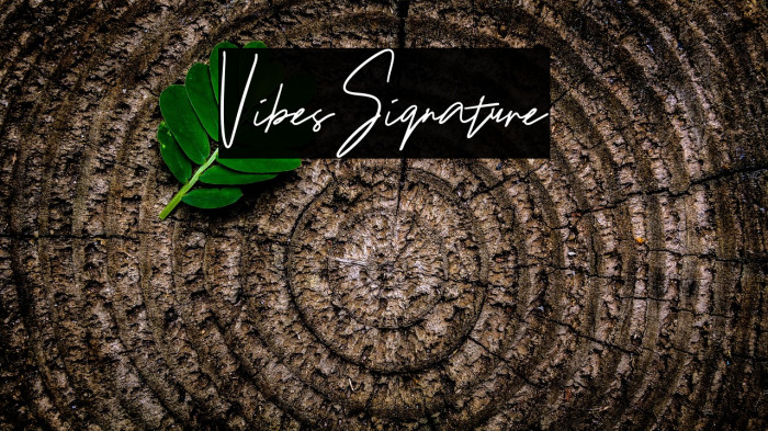VibesSignature Example 3
