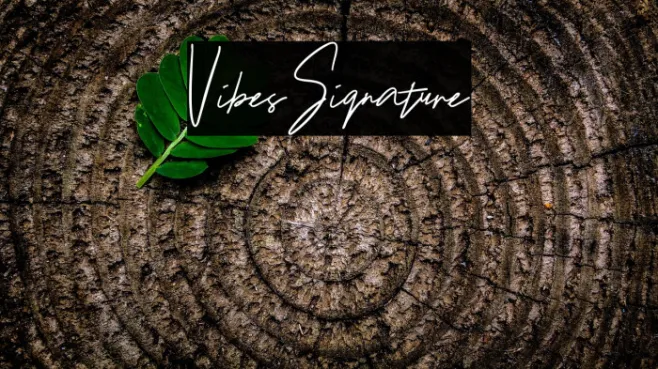 VibesSignature Example 3