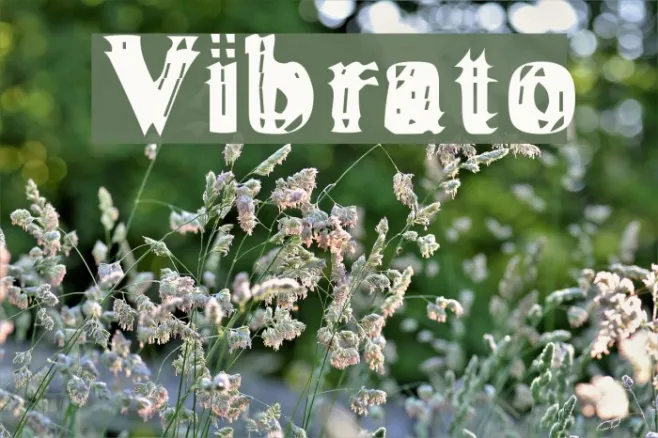 Vibrato Example 1