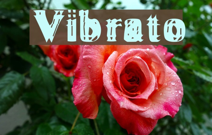 Vibrato Font examples