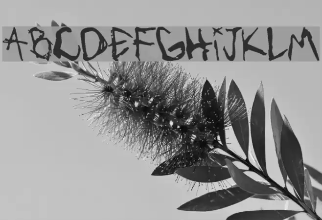 VibratteLetters! Font examples