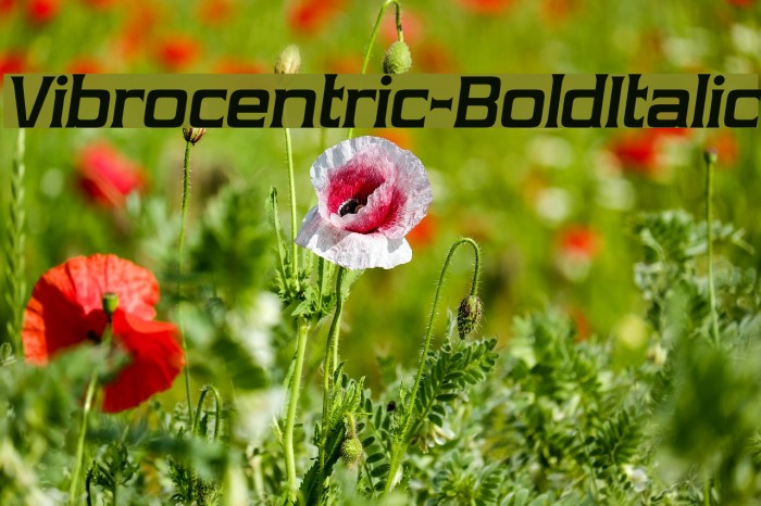 Vibrocentric-BoldItalic Font examples