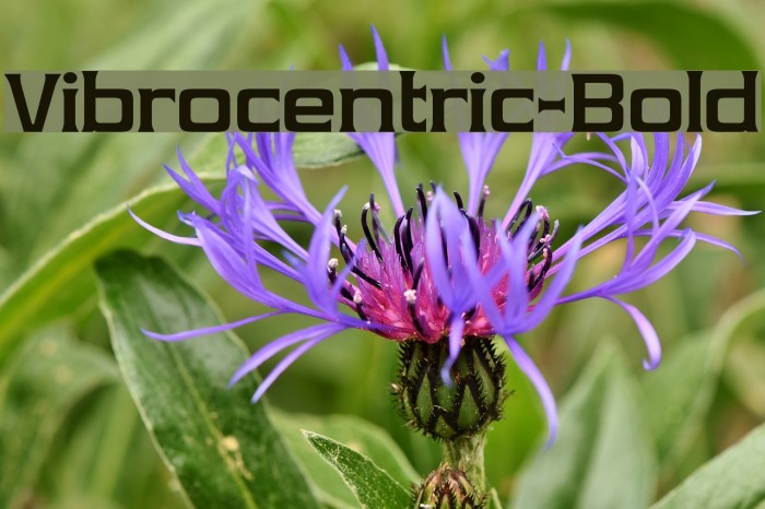 Vibrocentric-Bold Font examples