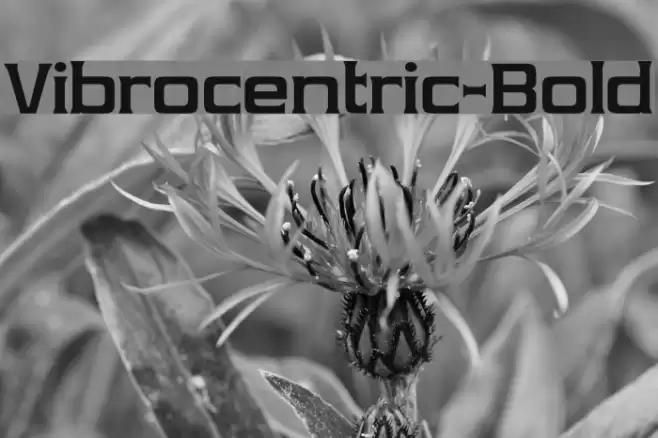 Vibrocentric-Bold Fonte examples