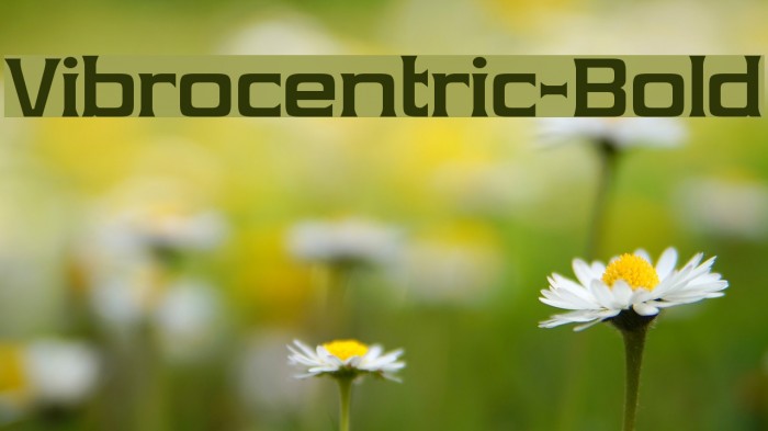 Vibrocentric-Bold Font examples