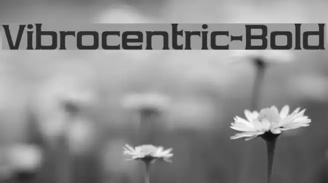 Vibrocentric-Bold Fonte examples