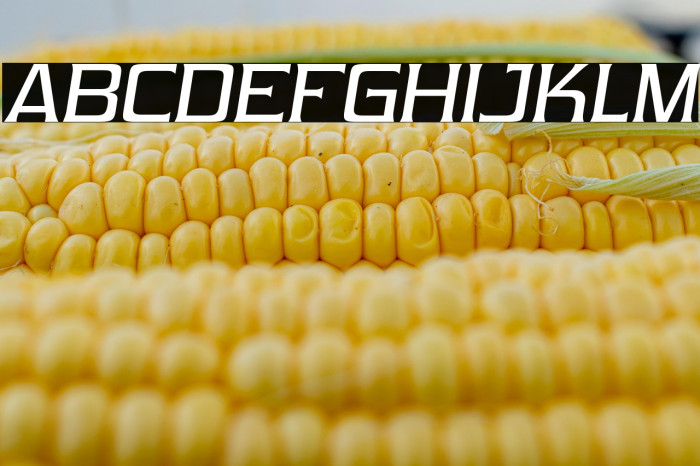 Vibrocentric-Italic Example 1