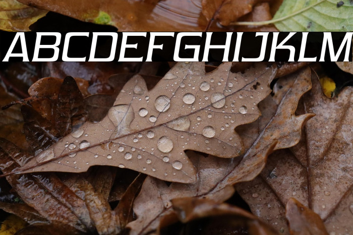 Vibrocentric-Italic Example 3