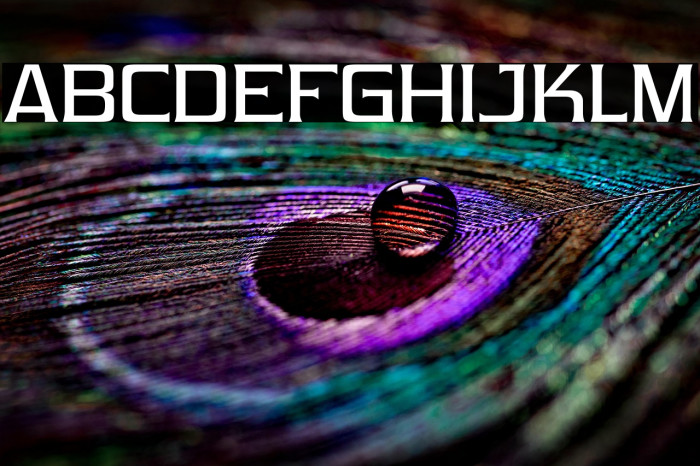 Vibrocentric-Regular Example 1