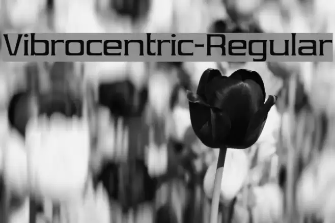 Vibrocentric-Regular Font examples