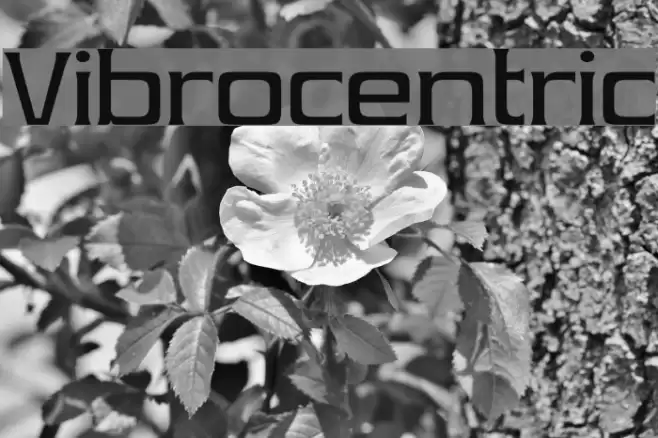 Vibrocentric フォント examples