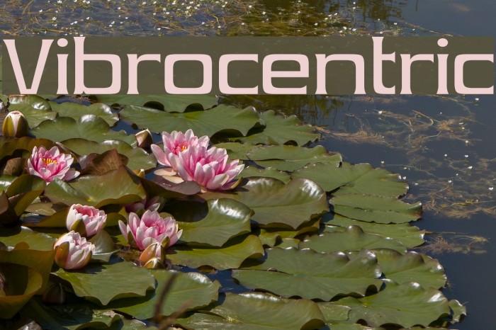 Vibrocentric フォント examples