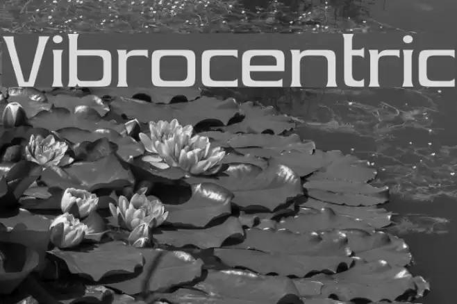 Vibrocentric フォント examples