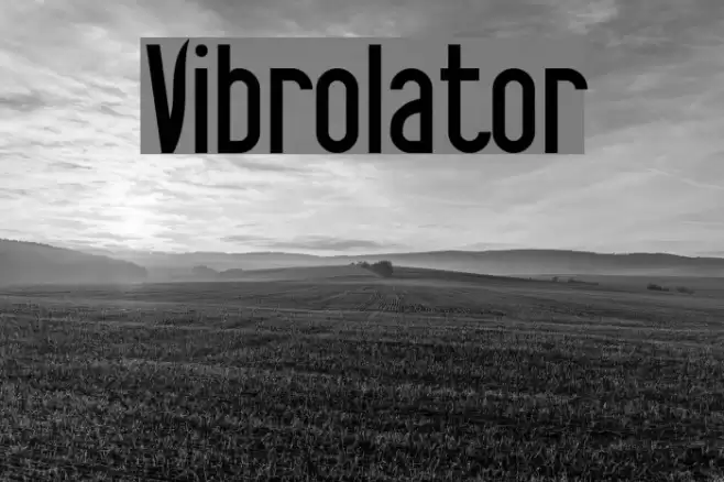 Vibrolator Font examples