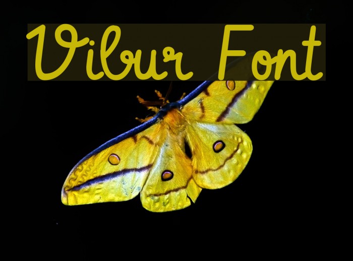 Vibur Font examples
