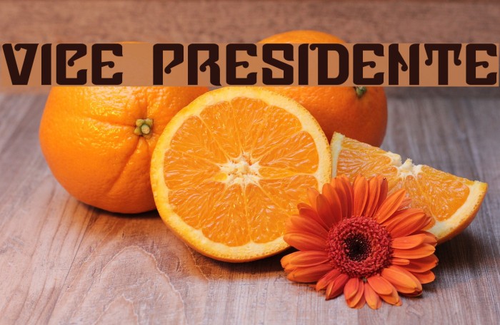 Vice Presidente Font examples