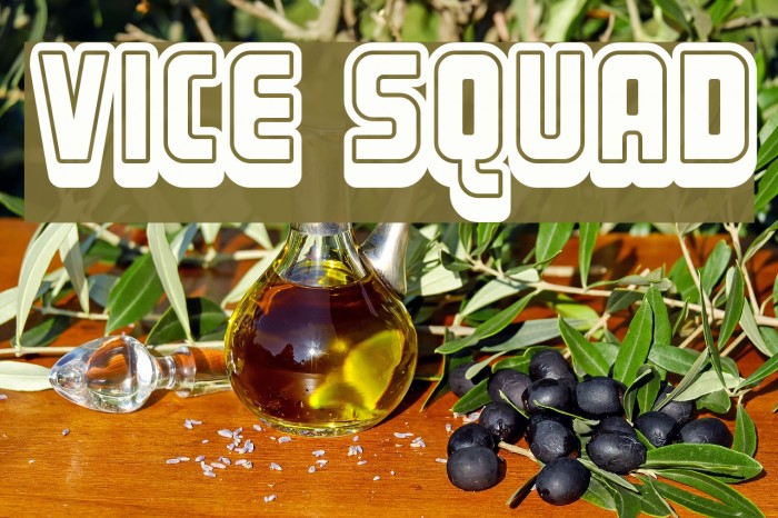 Vice Squad Example 3