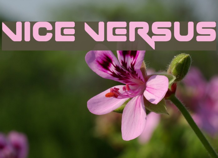 Vice Versus Font examples