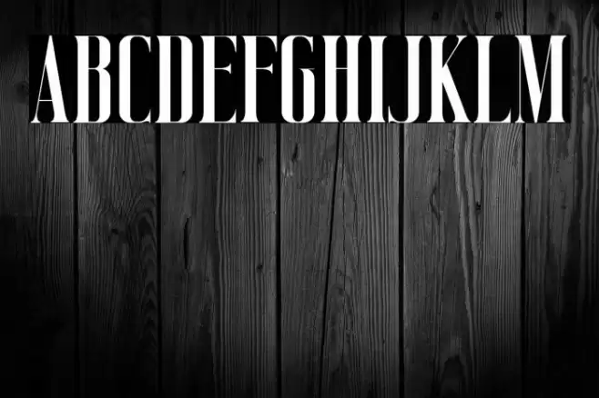 Vicenza Font examples