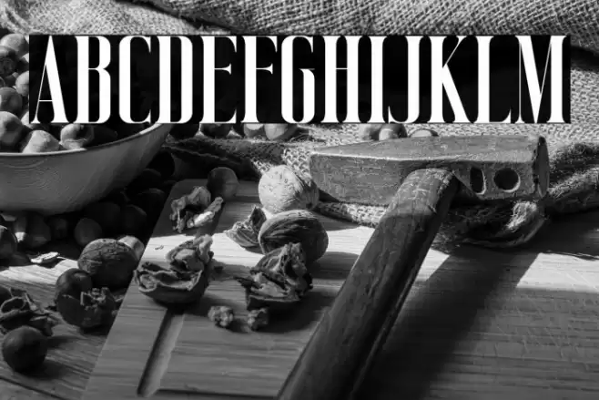 Vicenza Font examples