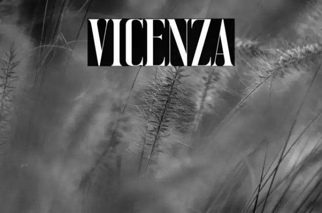 Vicenza Font examples