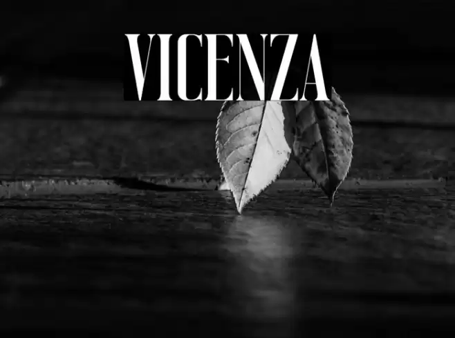 Vicenza Font examples