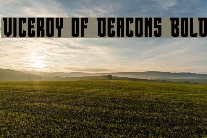 Viceroy of Deacons Bold Example 1