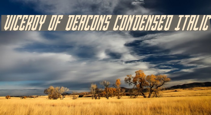 Viceroy of Deacons Condensed Italic Font examples