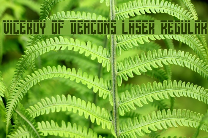 Viceroy of Deacons Laser Regular Font examples