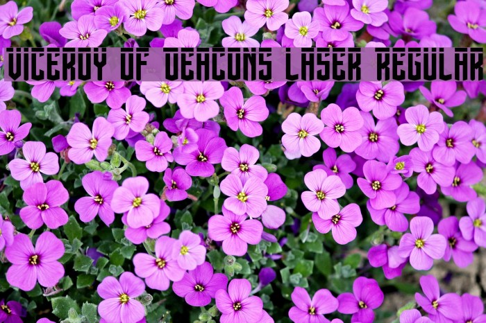 Viceroy of Deacons Laser Regular Font examples