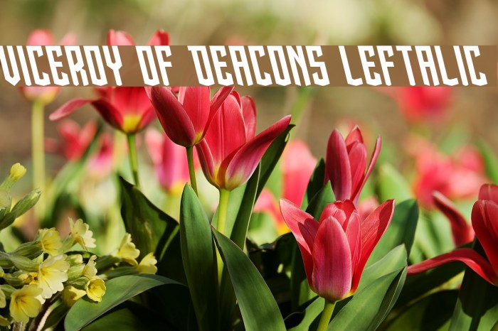 Viceroy of Deacons Leftalic Font examples