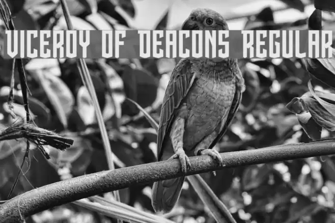Viceroy of Deacons Regular Font examples