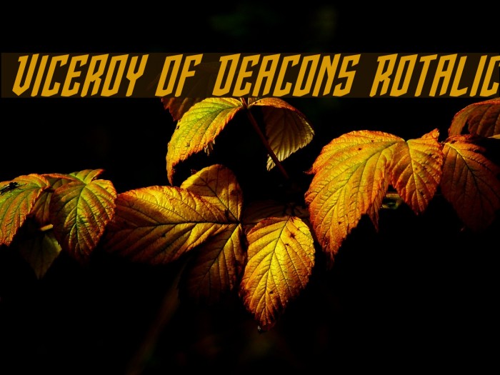 Viceroy of Deacons Rotalic Font examples