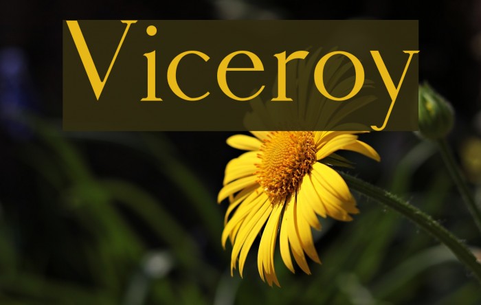 Viceroy Font examples