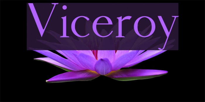 Viceroy Font examples