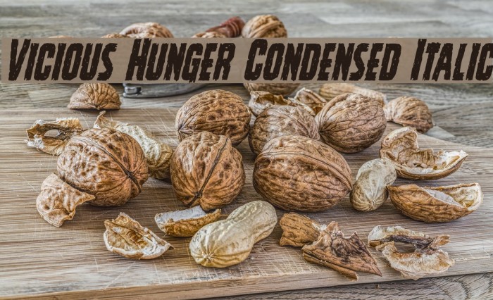 Vicious Hunger Condensed Italic Fuentes examples