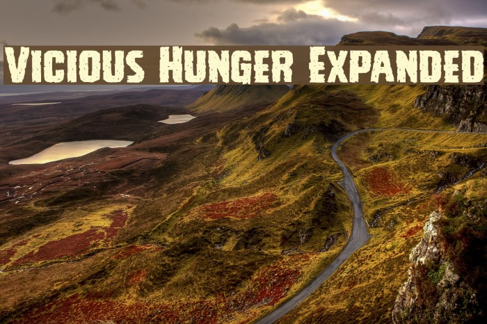 Vicious Hunger Expanded Font examples