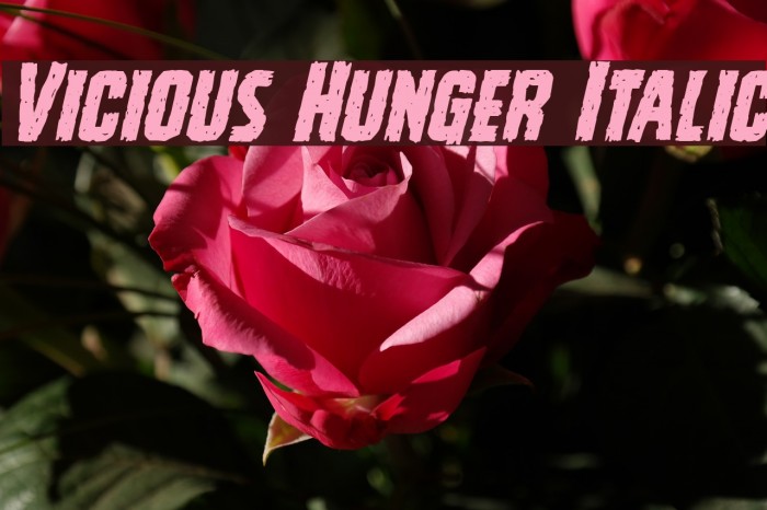 Vicious Hunger Italic Example 2