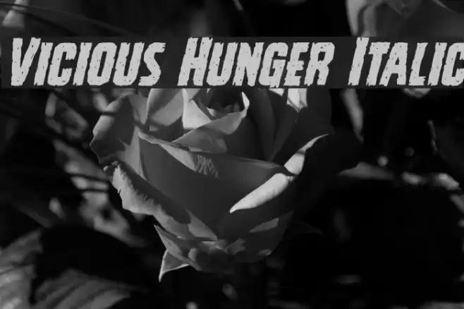 Vicious Hunger Italic Font examples